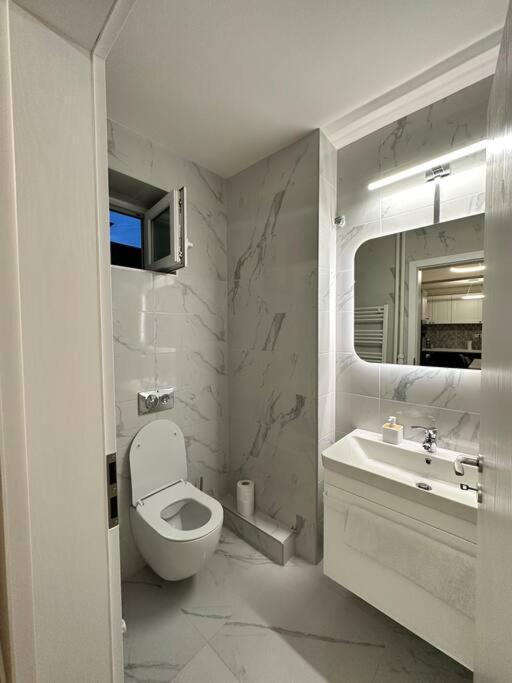 تيميشورا Ultracentral Luxury Apartament المظهر الخارجي الصورة