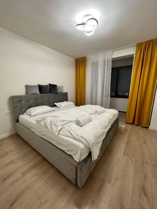 تيميشورا Ultracentral Luxury Apartament المظهر الخارجي الصورة