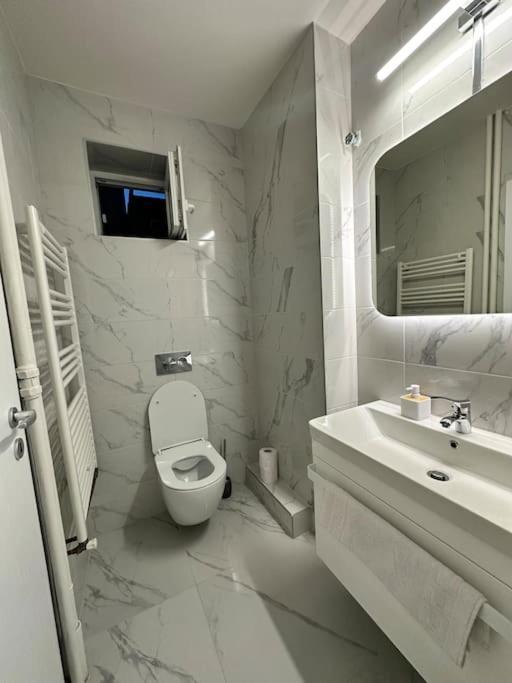 تيميشورا Ultracentral Luxury Apartament المظهر الخارجي الصورة